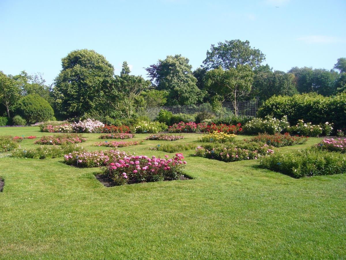 Hotel Plato Den Haag Scheveningen Hotel Den Haag